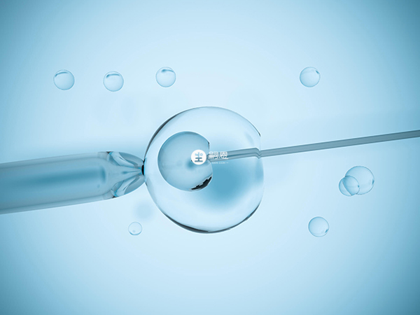 第一代試管嬰兒即IVF—ET3