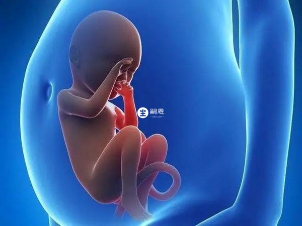 台湾第三代试管婴儿是不能够选择胎儿性别的