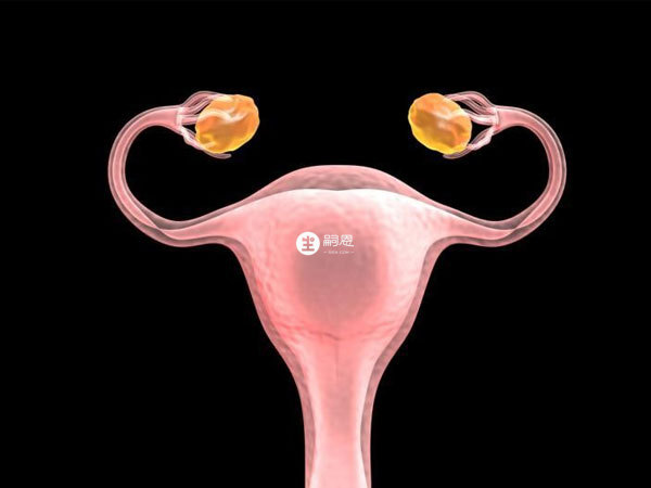 女性雙側卵巢通常交替進行