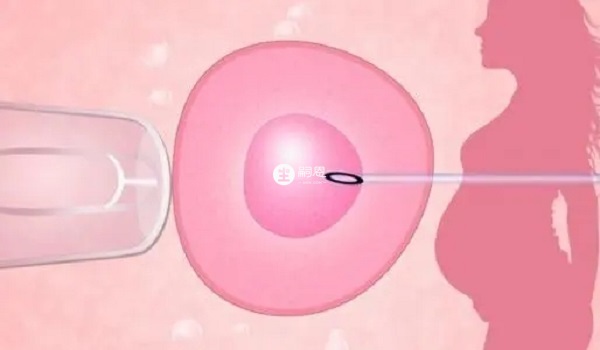 凍胚級別只反應胚胎質量