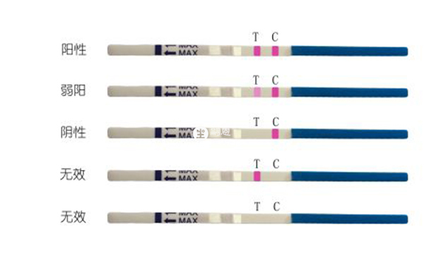 驗孕棒結果示意圖