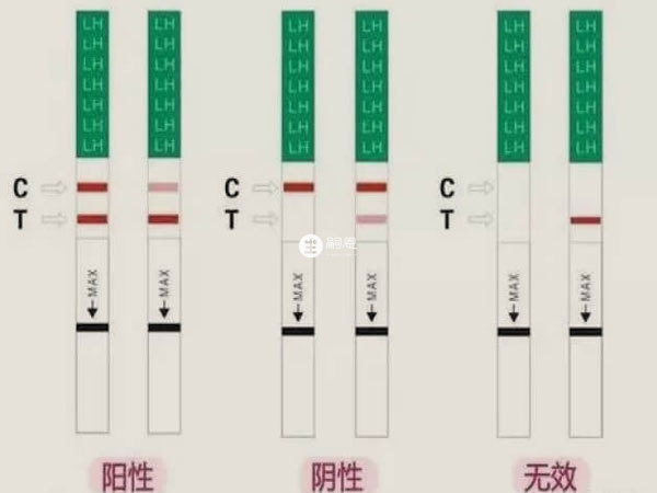 金秀兒排卵試紙圖解