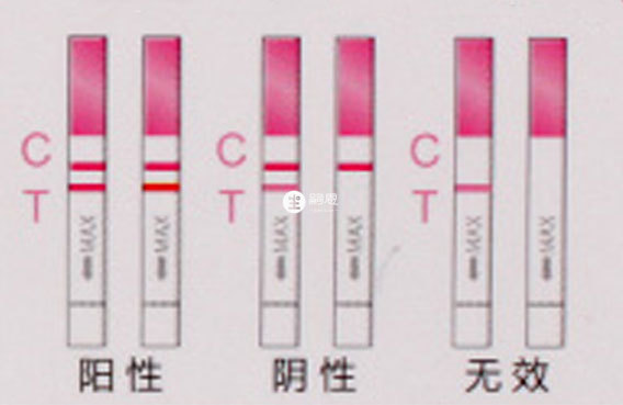 排卵試紙結果圖解