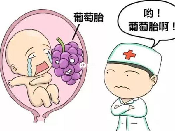 葉酸缺乏是懷上葡萄胎的原因之一