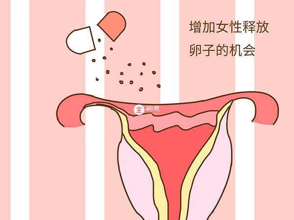 叶酸增加女性排卵次数