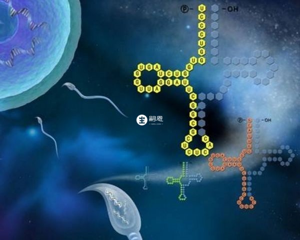 精子碎片率高不建議做試管