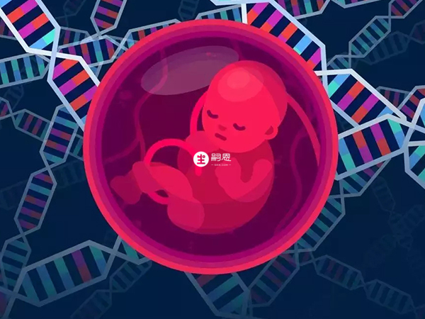 三代试管可筛查出基因有问题的胚胎