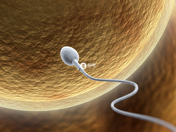 精子不完全液化是指精子在半个小时内没有液化