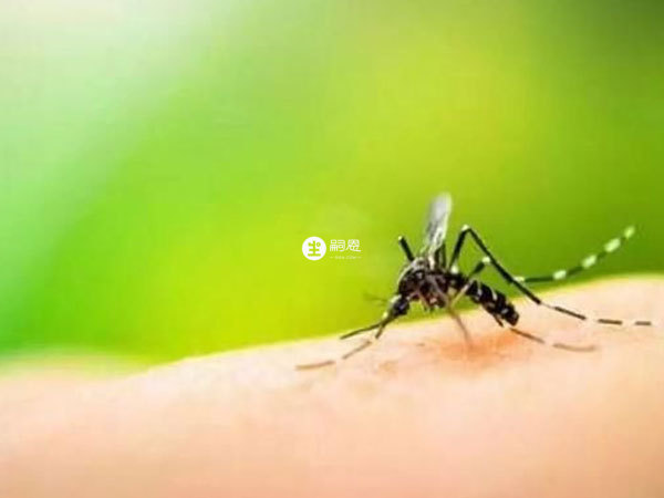 瘧疾是蚊蟲叮咬引起的寄生蟲疾病