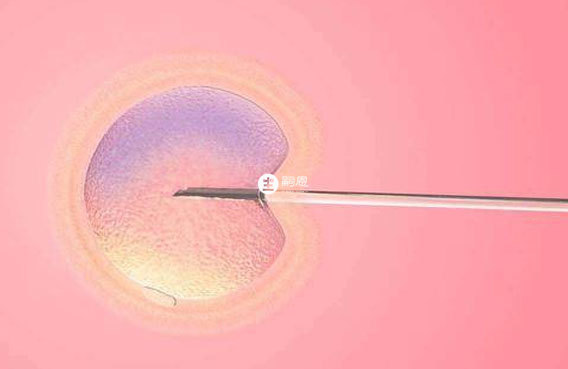 少精症男性可以通睪丸穿刺取精