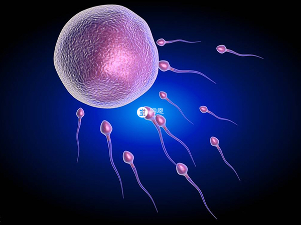 試管嬰兒需要卵子和精子