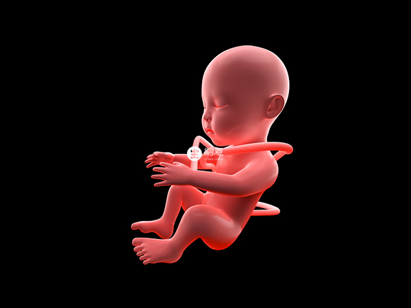 懷孕初期吃惠氏瑪特納不會影響胎兒的生長髮育