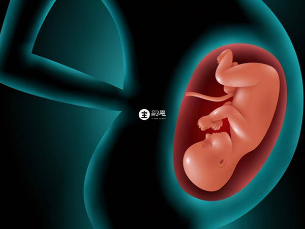 抗生素药物影响胎儿发育