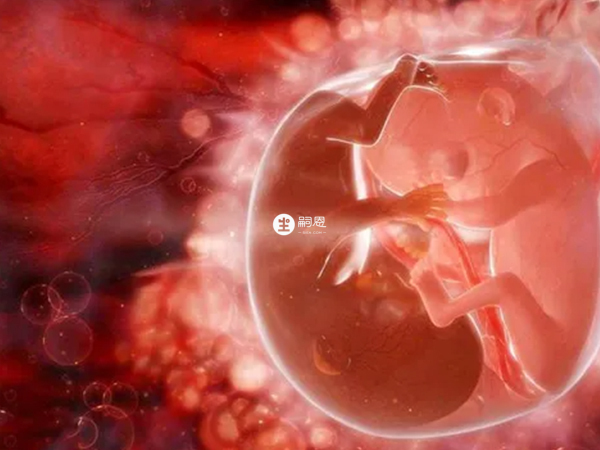 做试管移植有两个胚胎存活就可怀双胞胎