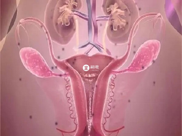 金塞恆促排會有不良發應