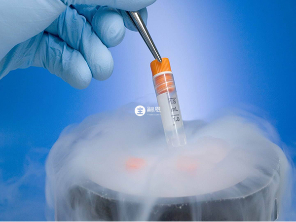 山大生殖冻胚保存费用一年大概1500-2000元左右