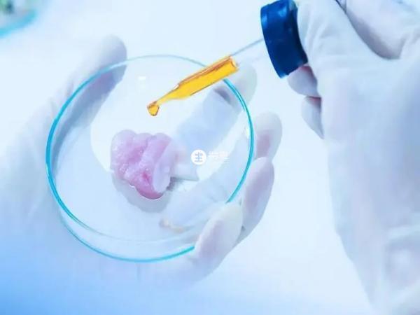 PGS报告不准提示胚胎的性别