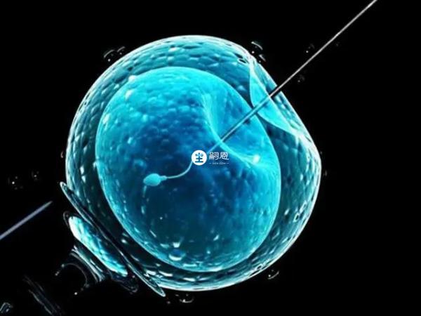 三代试管需对活检后的胚胎进行检测
