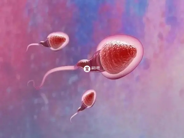 三代试管必须从活体胚胎中取细胞