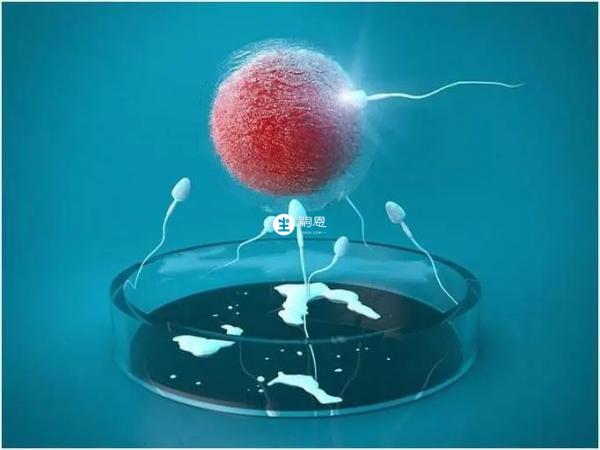 泰国三代试管可选择合适胚胎进行移植