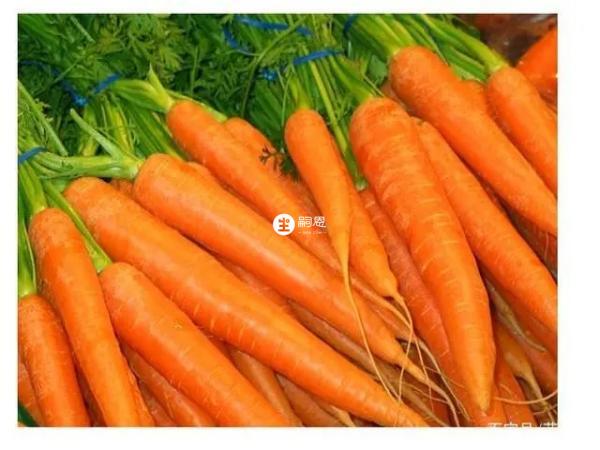 长高排名第一的食物是胡萝卜