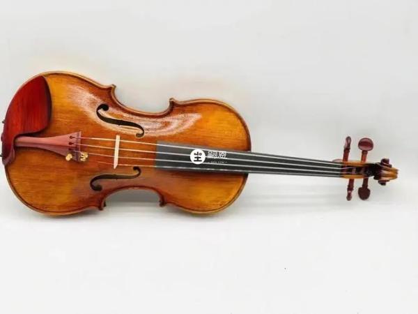 学习小提琴的成本非常高