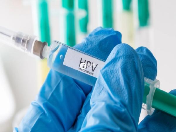 hpv疫苗不会引起卵巢早衰
