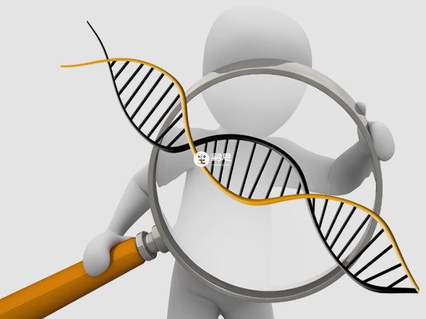 无创DNA能检测什么