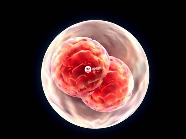 促排取卵是内蒙古供精试管流程之一