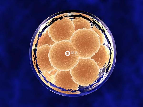促排取卵是安徽供精试管流程之一