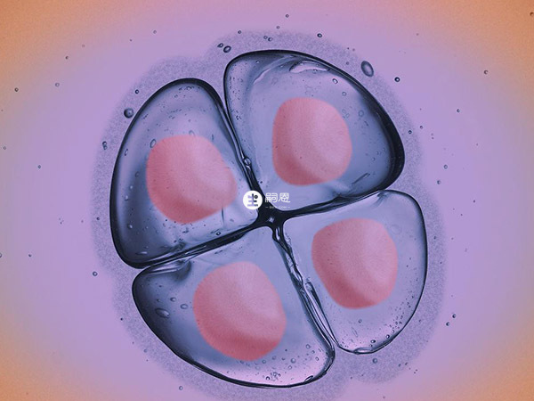 促排取卵是广西供精试管流程之一
