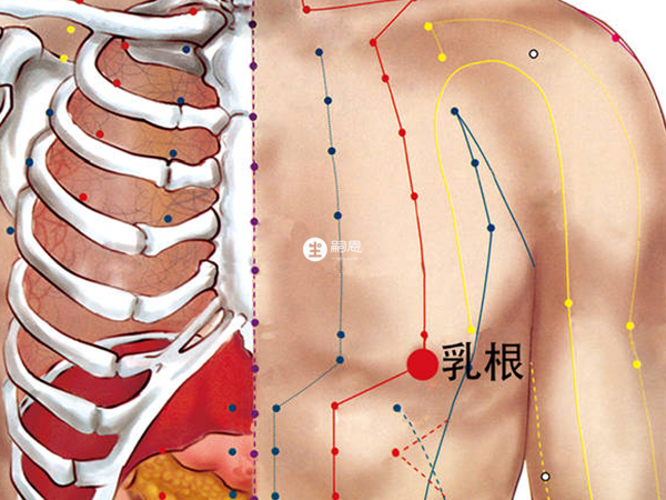 按摩乳根穴可以催奶