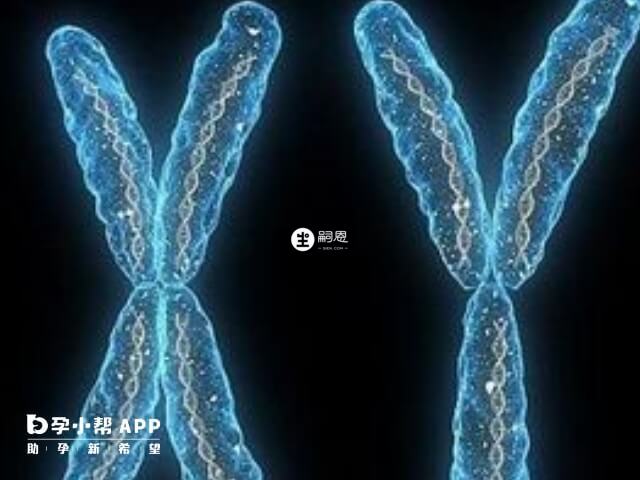 染色體少一條能生育