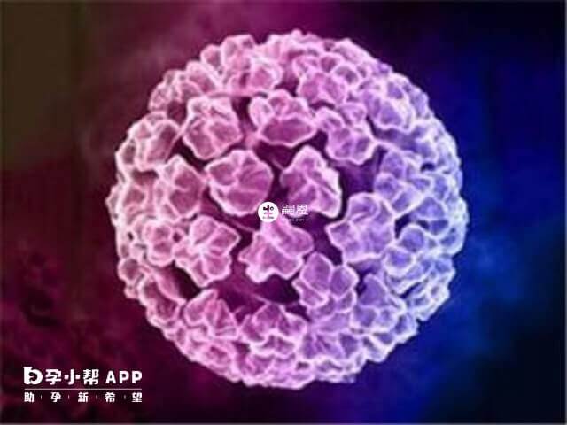 hpv52比hpv68更难治