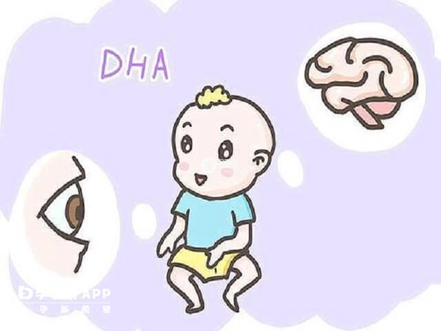 寶寶補充DHA不要超過12歲