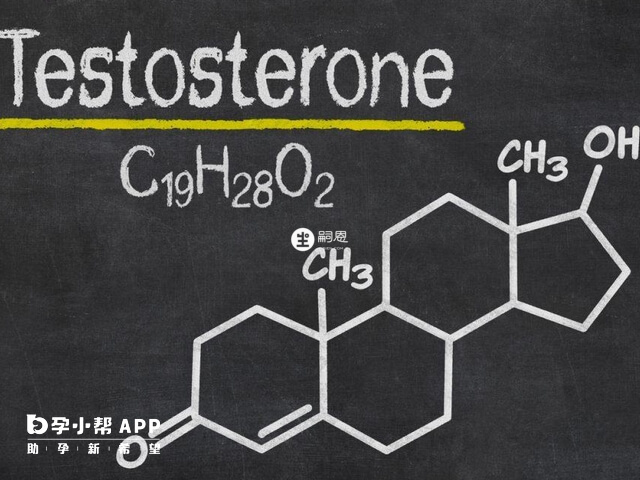 睾酮测定主要检查男性睾酮水平情况