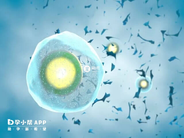 試管一次不一定能百分百成功