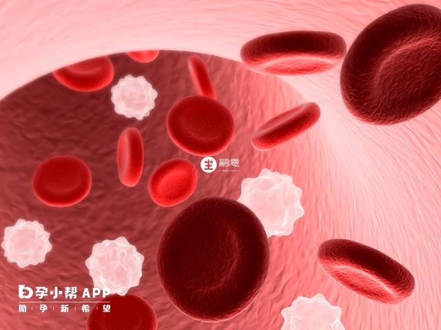 b型血红细胞表面有B型抗原