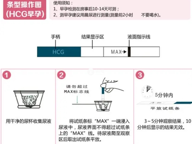 驗孕棒正確使用步驟