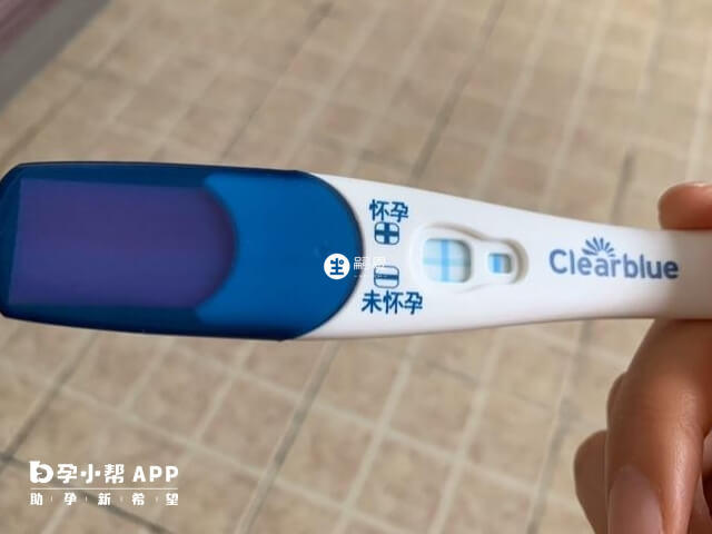 可麗藍十字驗孕棒顯示+是懷孕
