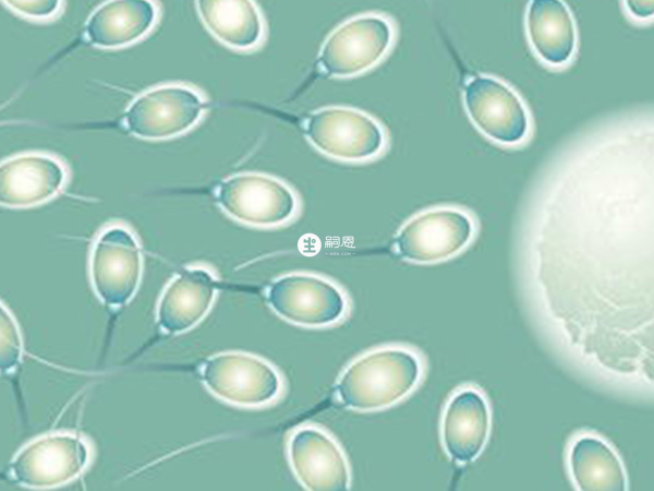 无创DNA看胎儿新性别的方法