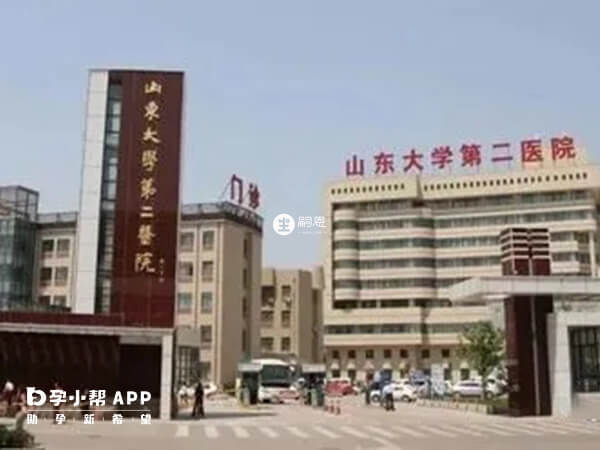 山东大学第二医院不做试管