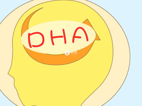 DHA可以促进胎儿大脑发育