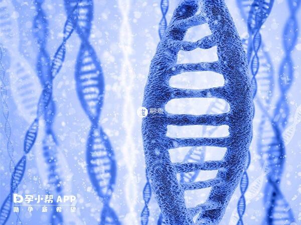 45x染色體嵌合自然生育容易影響下一代