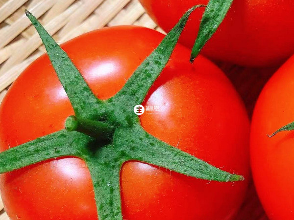 西红柿的酸味能促进胃液分泌
