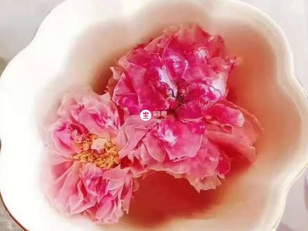 玫瑰花茶