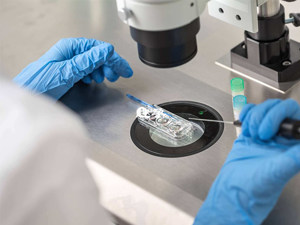 三代試管需要在胚胎移植前進行篩查