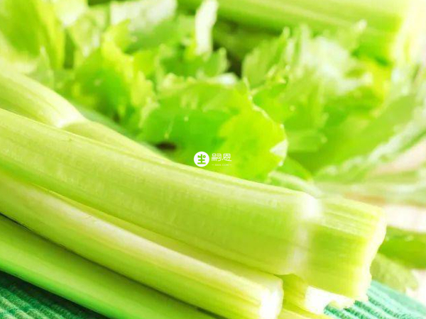 芹菜是一种能清热利尿、平肝凉血的蔬菜