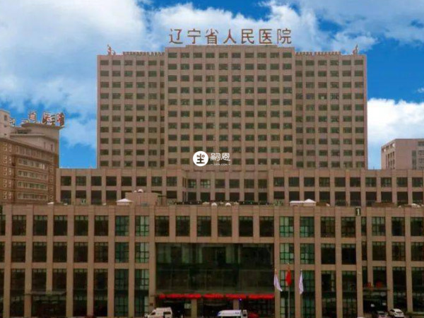 辽宁省人民医院是公立医院