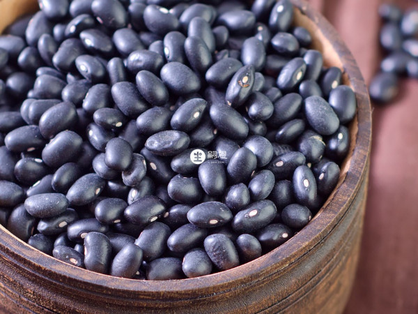 黑豆具有排脓解毒、消肿止痛的功效